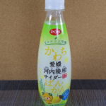 今日の飲み物：えひめ飲料「POM 愛媛河内晩柑サイダー」を飲む！